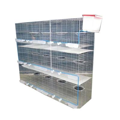 China Nice Durable 24 Capacity Pigeon Cage With Free Spare Parts for sale