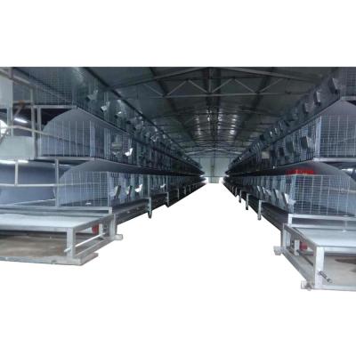 China Commercial Rabbit Rabbit Cage HJ-RCN System for sale