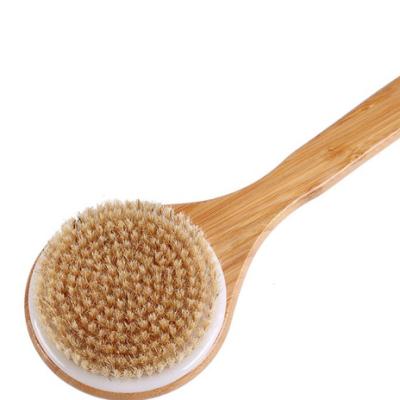 China EXFOLIATE Scalp Massage Brush Round Body Long Handle Bath Brush for sale