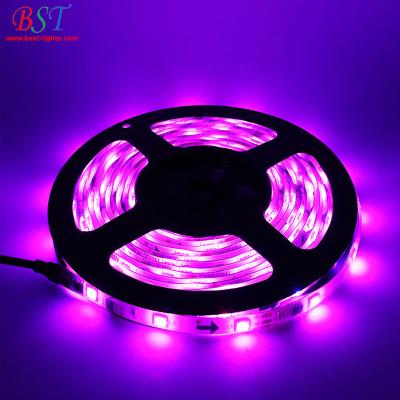 China Hotel Waterproof WS2811 WS2812b WS2813 Addressable SMD 5050 RGB 5V 12V 24V Led Strip for sale