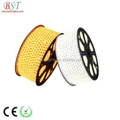 China PCB+LED ip67 5050 led stripe 220v 60 led/m waterproof 110v for sale