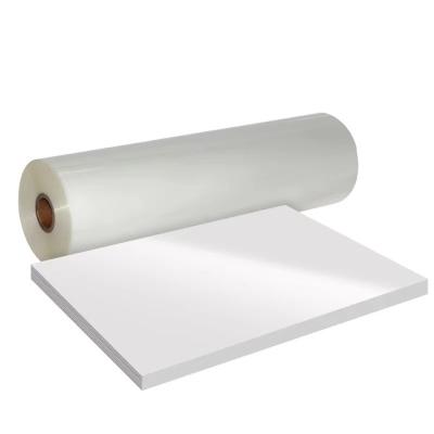 China Textiles High quality 30cm hot tear single side frosted dtf pet film for xp600 a3 dtf printer for sale