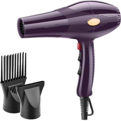 China 2022 Foldable Traveling DC Foldable Handy Motor Power Large Hair Dryer With Cool Pulled Function for sale