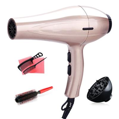 China Wholesale High Quality Ionic DC Motor Hair Dryer Salon Use Home Hair Dryer for sale