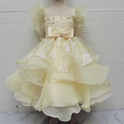 China Wholesale Washable In The Running Lush Skirt Princess Dress With Flowers Dance Costume Birthday Gift Bridesmaid Dress for sale