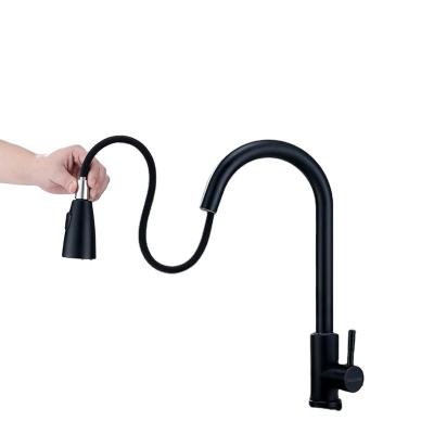 China TALLSEN Jet Stainless Steel Hot Water Pull Out Hose Faucets Single Handle Kitchen Black Pull Out Faucet Cold Cold for sale