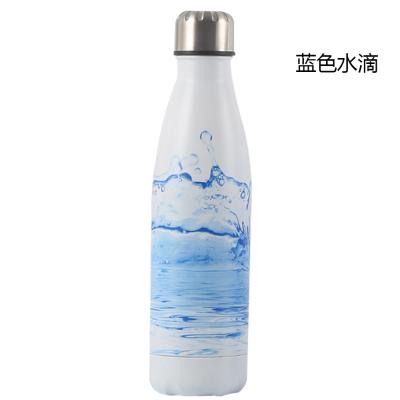 China Sustainable New Pattern Ice Flowers Series Double Wall Vacuum Stainless Steel Cola Rolling Thermos for sale