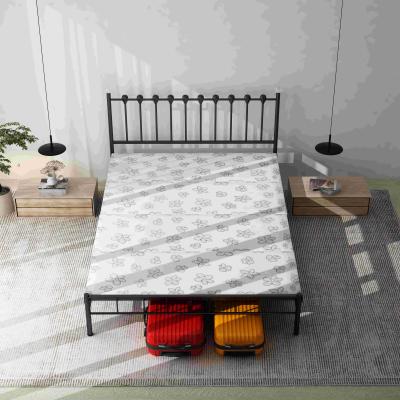 China Double Design Foldable Luxury Simple Style Queen Bed Metal Folding Living Bed For Dormitory for sale