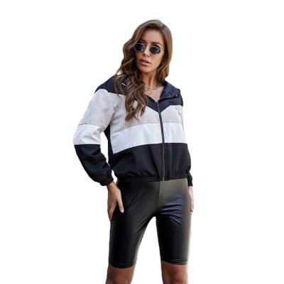 China Wholesale Soft Zipper Hooded Casual Color Matching Long Sleeve Design Hoody Sweatshirt for sale