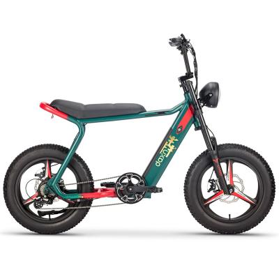 China 20 inch 1000 watt 2000w aluminum alloy Belgium electric bike for sale