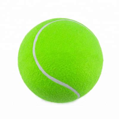 China Pet Toy 6 Inch Big Size Tennis Ball Inflatable Pet Toy for sale