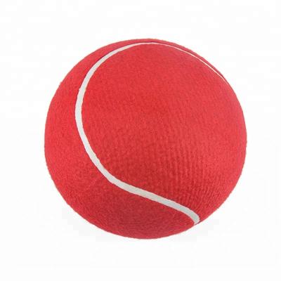 China Pet Toy 7 Inch Big Size Tennis Ball Inflatable Pet Toy for sale