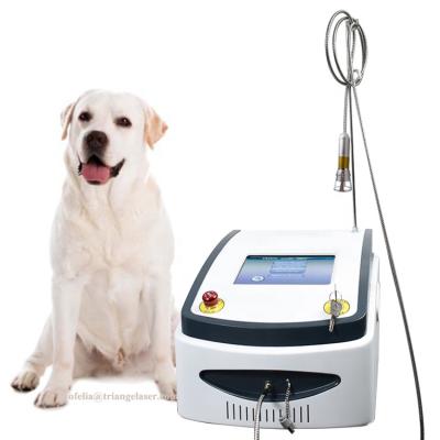 China Physiotherapy/Vascular High Frequency Veterinary Medical Infrared Cold Removal Equipments High Power Laser Therapy Device/Fungus Nail Therapy/EVLT/Lipolysis HOLA I For Dog Pain for sale