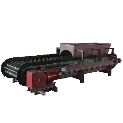 China Hot Sale Mining Conveyor Chain Filters Feeder For Coal Cement for sale