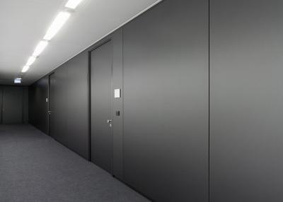 China Hospital Solid Partition Wall Double Steel Acoustic Soundproof Partitions For Offices for sale