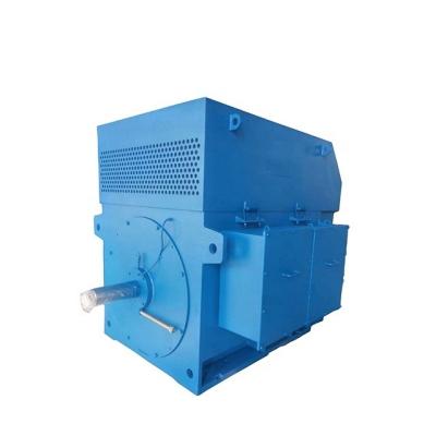 China 6600v 1000kw totally enclosed high voltage squirrrel cage motor for pump use for sale