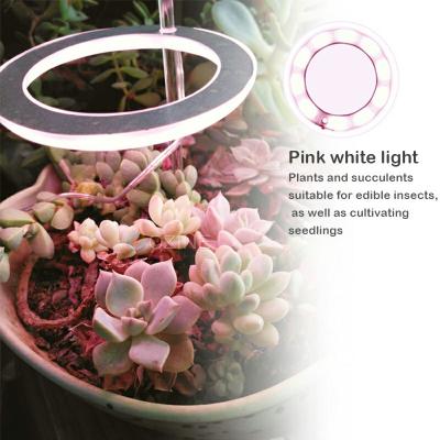 China Seed Seedling Choiceseedling Red Blue Indoor Full-spectrum Home Plant Fill Light Ring Usb 5v Succulent Plant Led Grow Light for sale