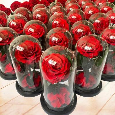 China 2023 Luxury Hot Selling Natural Christmas Forever Preserved Eternal Roses Long Lasting Roses Glass Dome Roses For Wedding for sale