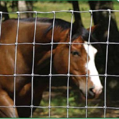 China Factory Suppliers Easily Assembled Cheap Wire Mesh Roll Deer Field Farm Fence for sale