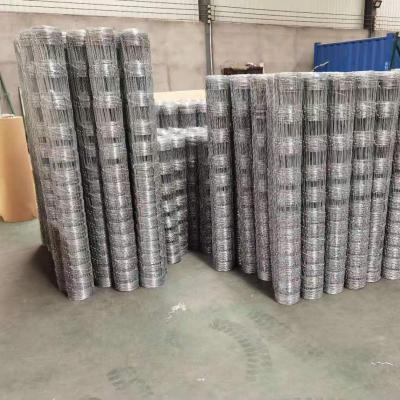 China Easily Collected Galvanized Livestock Prevents Hinge Joint Page Wire Farm Field Fence for sale