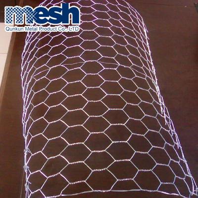 China Anping Anti-Corrosion Trade Assurance Galvanized Hexagonal Chicken Wire Mesh for sale