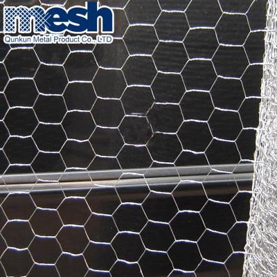 China Straight Twist Hot Sale Hexagonal Iron Wire Mesh for sale