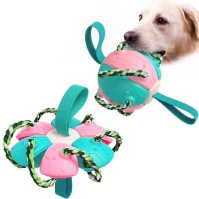 China Viable Pet Soccer Ball Toy PP Frisbeed Dog Accessories Hot Dog Toys Football Interactive Flight for sale