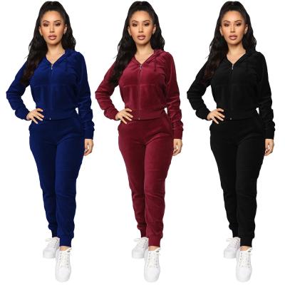 China 2021 Falls Good Quality QUICK DRY High Quality Selling Fashion Velvet Women Workout 2 Piece Two Piece Set for sale