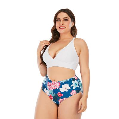 China Big plus size women's swimwear bikini plus size swimwear for sale