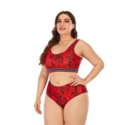 China Big plus size women's swimwear bikini plus size swimwear for sale