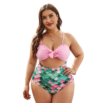 China Fat plus size woman swimwear bikini plus size swimwear bikini for sale