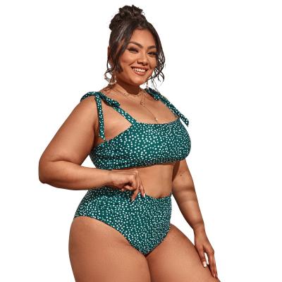 China Big plus size women's swimwear bikini plus size swimwear for sale