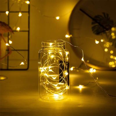 China RGB String Lights 1M, 2M, Warm Cool White Colorful 3M Cooper Wire String Lights for Wedding, Party, Halloween, Christmas Decoration for sale