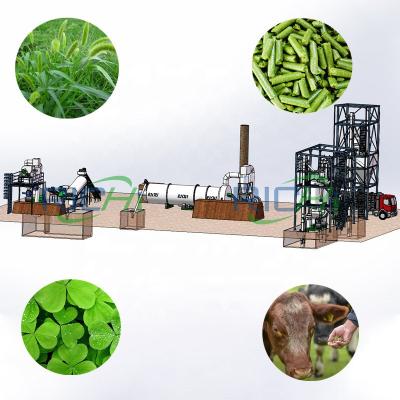 China Power Plant RICHI Complete 4-5T/H Alfalfa Grass Hops Hemp Pellet Production Line for sale