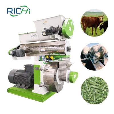 China Make Animal Feed High Capacity 15-20T/H Grass Alfalfa Hemp Hay Straw Hemp Ruminate Feed Pellet Mill For America for sale