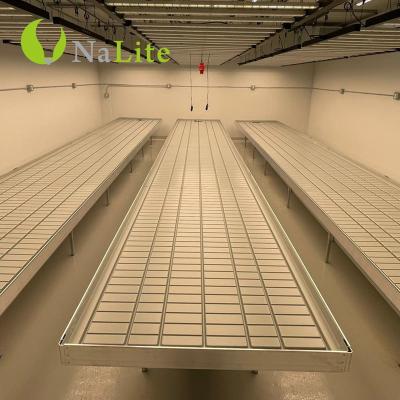 China Agricultural Greenhouse Hydroponic Commercial Greenhouse Garden Seeding Growing Bed 4X8 Flood Greenhouse Tables Tray for sale