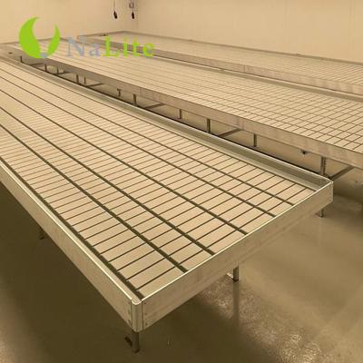 China Greenhouse Nalite Agricultural Irrigation Hydroponics Equipment Rolling Bench Table With Grow Tray for sale