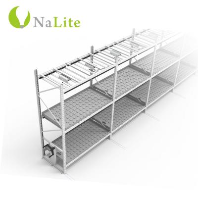 China Hydroponic Growing Systems Storage Vertical Multi Tier Mobile Grow Racks For Setup Indoor Agriculture for sale