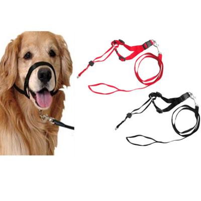 China Padded No MOQ Amazon Dog Collars Hot Sale Heavy Duty Leather Retractable Dog Leash for sale