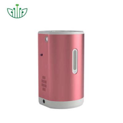 China Aluminum Alloy Hydrogen Gas Inhalation Machines Increased Immunity WEIZI for sale