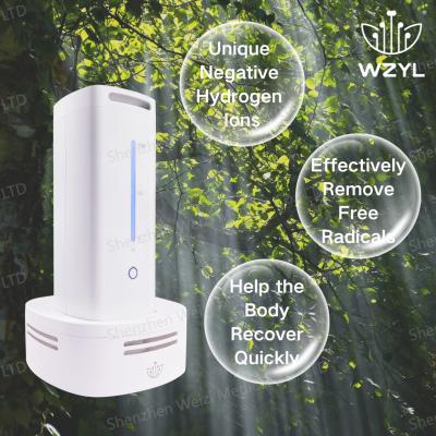 中国 12Vの負水素酸素吸入発電機 18WのWEIZI WZ-HX02 販売のため