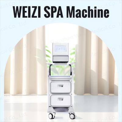 China Generador de baño de agua de hidrógeno anti-radical WEIZI DC12V para hidrógeno SPA en venta