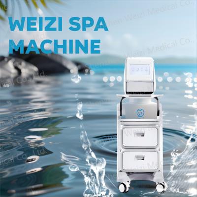 中国 抗酸化性皮膚ケア 水素浴発電機 WEIZI 22W 2M 呼吸道付き 販売のため