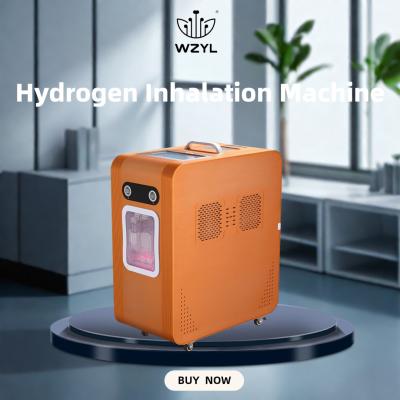 중국 Large Flow Hydrogen-absorbing Machine Anti-inflammatory 3000ml WEIZI Frequency 50Hz Flow 2000ML H2 1000ML O2 판매용