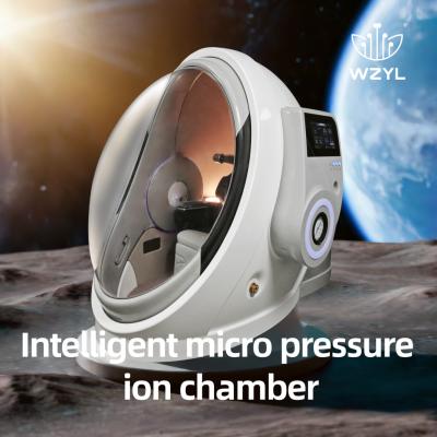 China Intelligent Micro Pressure Ion Chamber 1.3ATA Inhibition Of Allergic Reactions WEIZI for sale