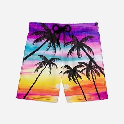 China QUICK DRY Summer Tropical Scenery Shorts Casual Oversized Beach Shorts Gothic Mens Hawaii Beach Custom Teen Shorts for sale