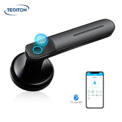 China Lever Fingerprint Door Handle Zinc Alloy Tediton Simplified Keyless Magnetic Lock With Key for sale