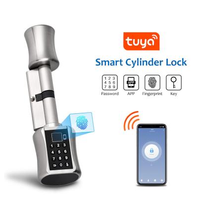 China Aluminum Smart Mobile WIFI APP Tuya Ally Fingerprint Scanner Door Lock Biometric Keyless Lock BLE for sale