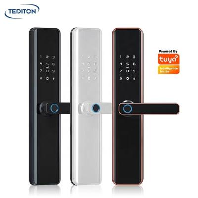 China Tediton Airbnb D1 Security Tuya Wifi Password Digital Fingerprint Hot Selling Biometric Door Lock for sale