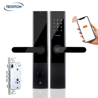 China WiFi Smart Digital Smart Lock App Tuya Office Life Biometric Fingerprint Lock with 6068 Stainless Steel Mortise for sale